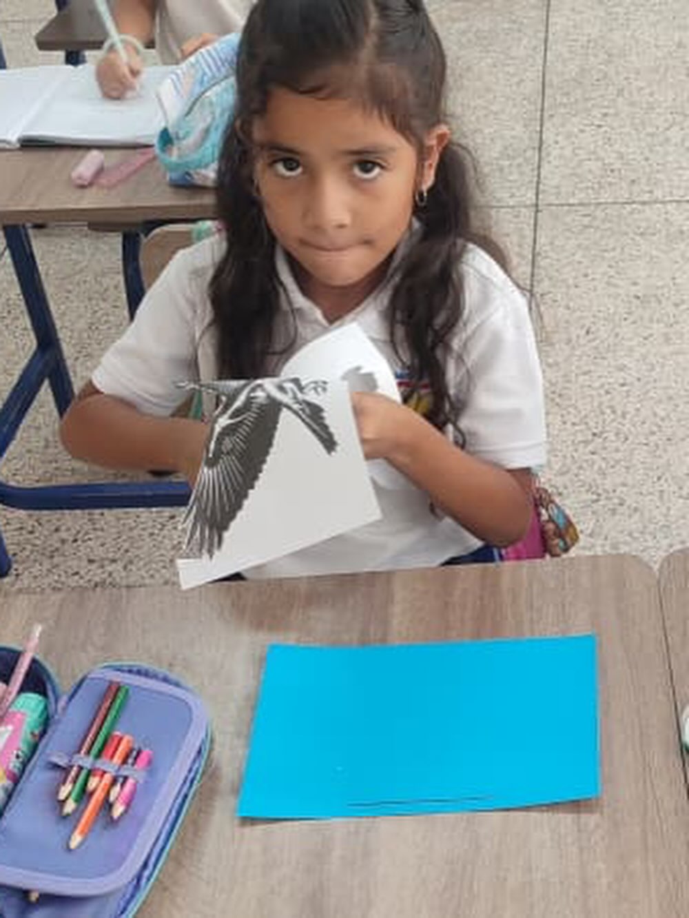 ACTIVIDADES «1er grado A»